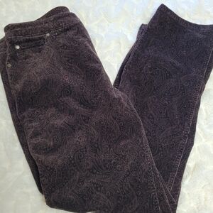 Charter Club Petite Paisley Brown Corduroy Pants 16P